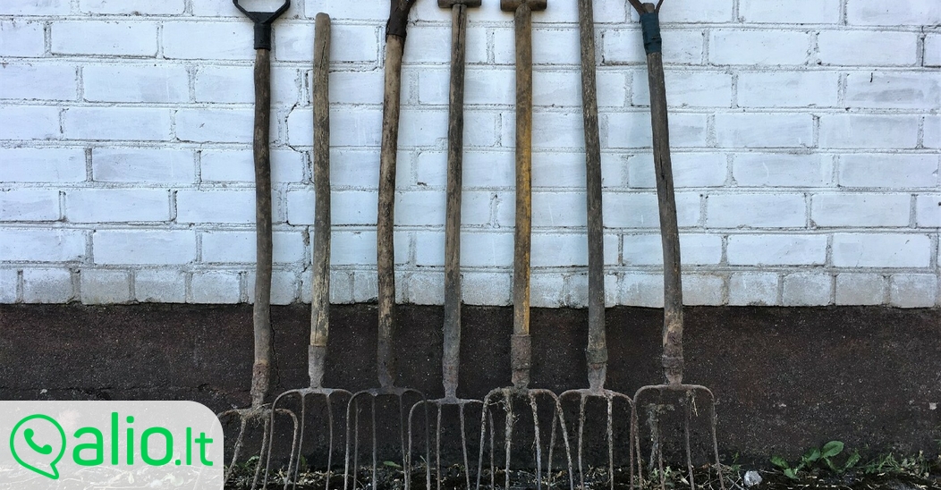 Šakės tarybinės., šakės | Alio.lt